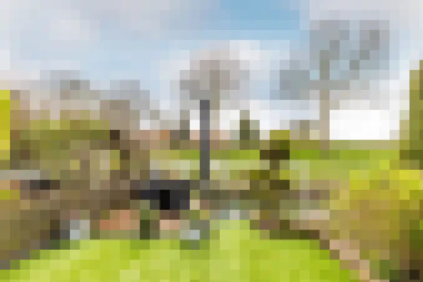 Van Riedevliet 56 Barendrecht thumbnail 33