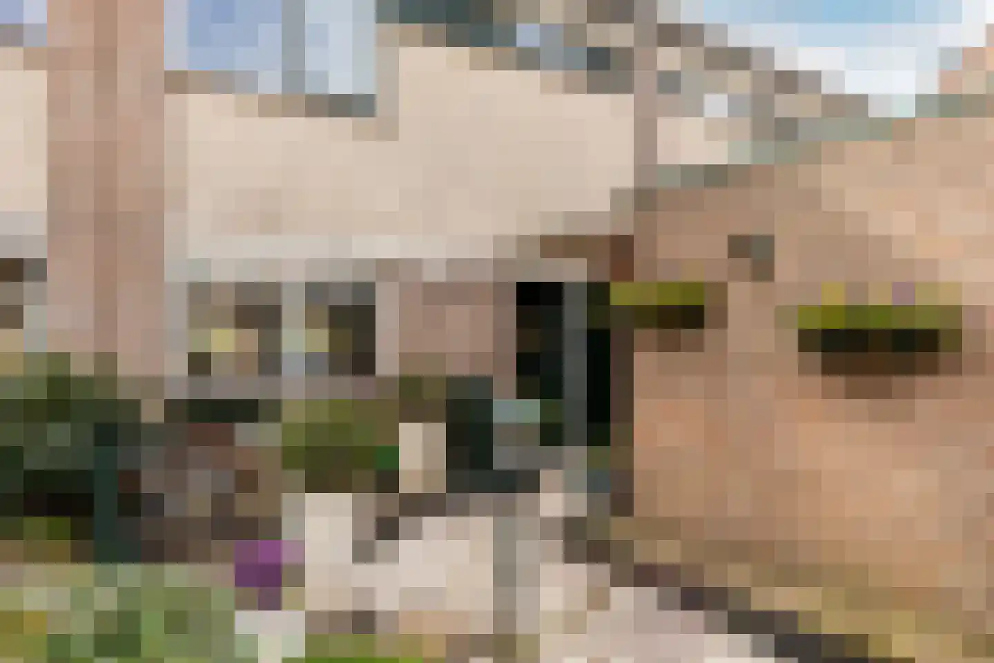 Van Riedevliet 56 Barendrecht thumbnail 6