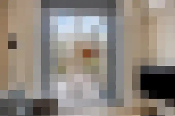 Van Rielstraat 12 Zwolle thumbnail 12