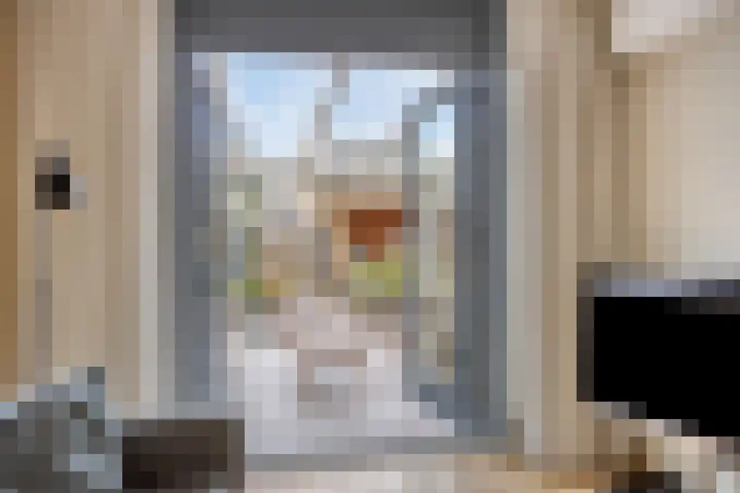Van Rielstraat 12 Zwolle thumbnail 12