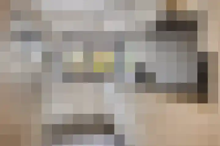 Van Rielstraat 12 Zwolle thumbnail 14