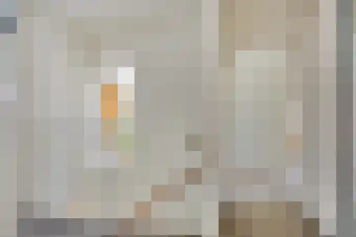Van Rielstraat 12 Zwolle thumbnail 17
