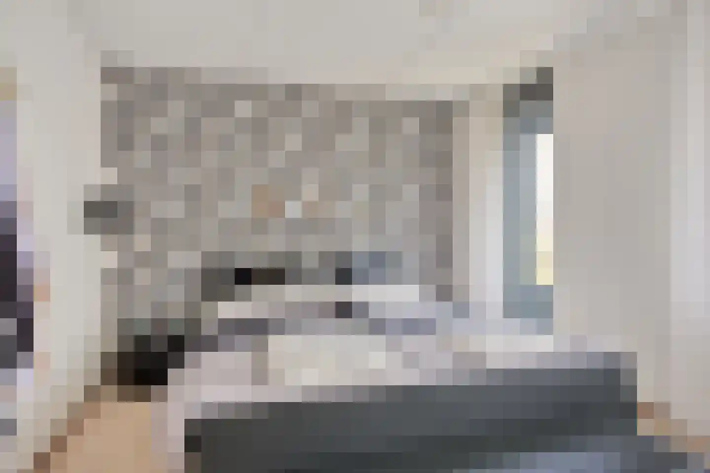 Van Rielstraat 12 Zwolle thumbnail 18