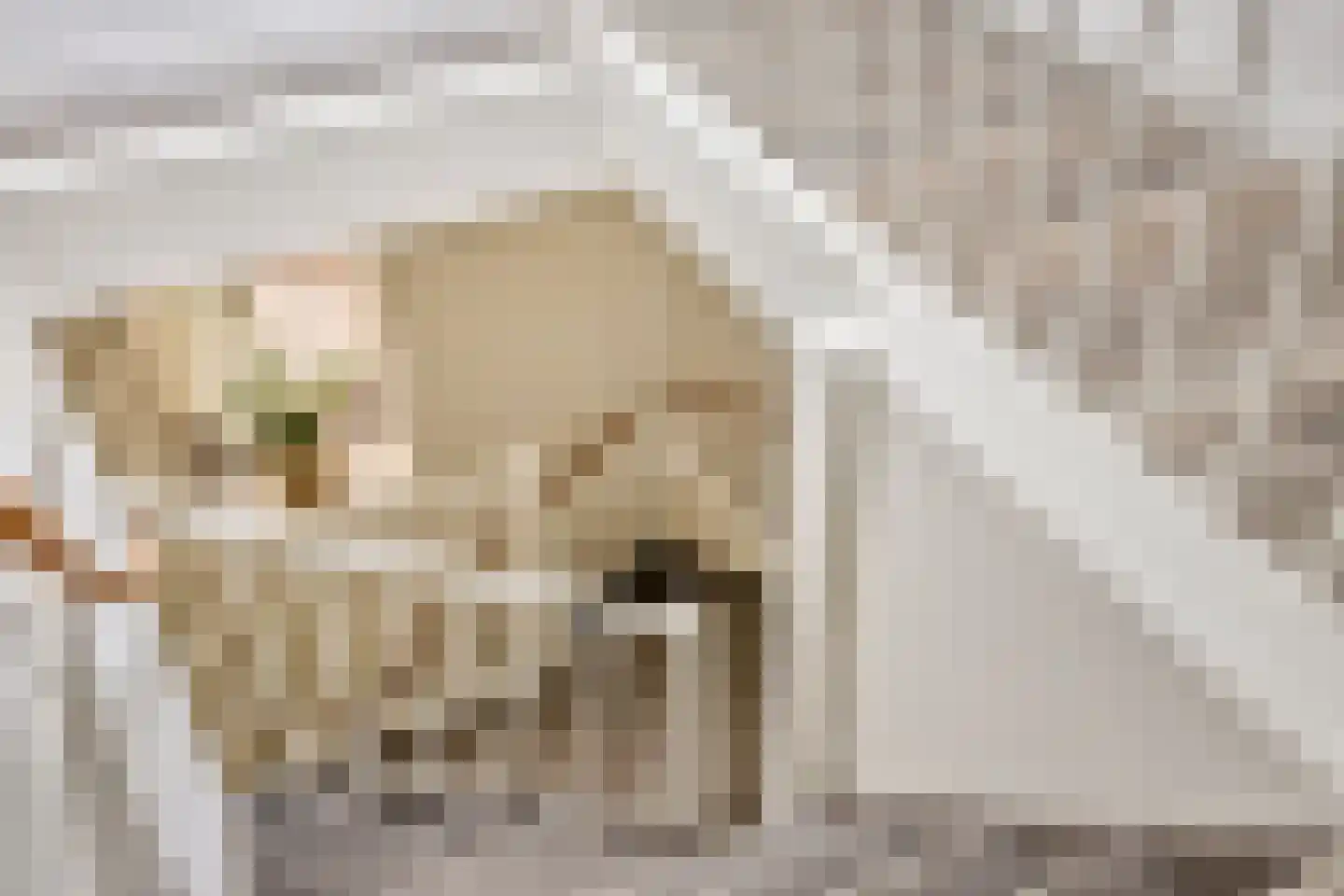 Van Rielstraat 12 Zwolle thumbnail 33