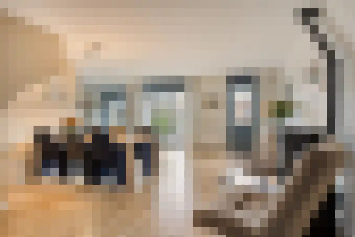 Van Rielstraat 12 Zwolle thumbnail 4
