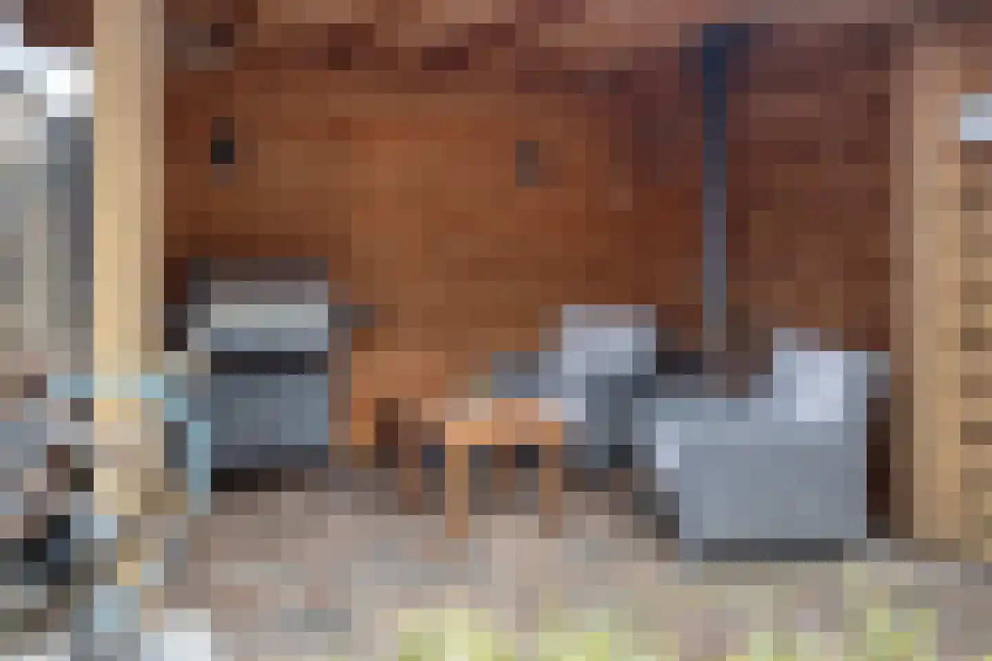 Van Rielstraat 12 Zwolle thumbnail 45