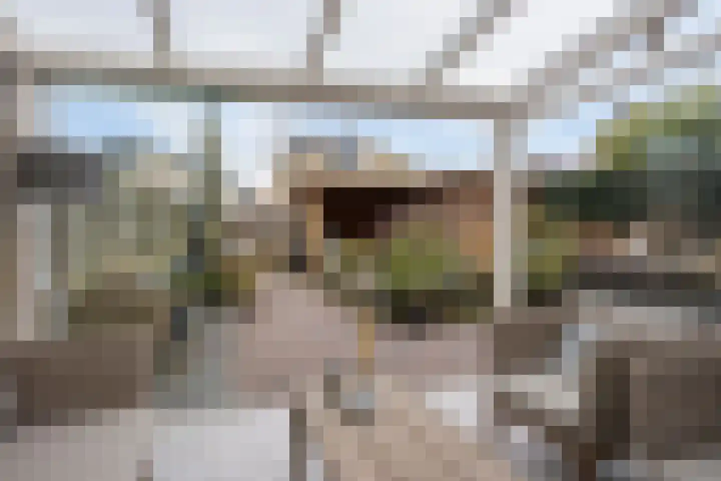 Van Rielstraat 12 Zwolle thumbnail 47