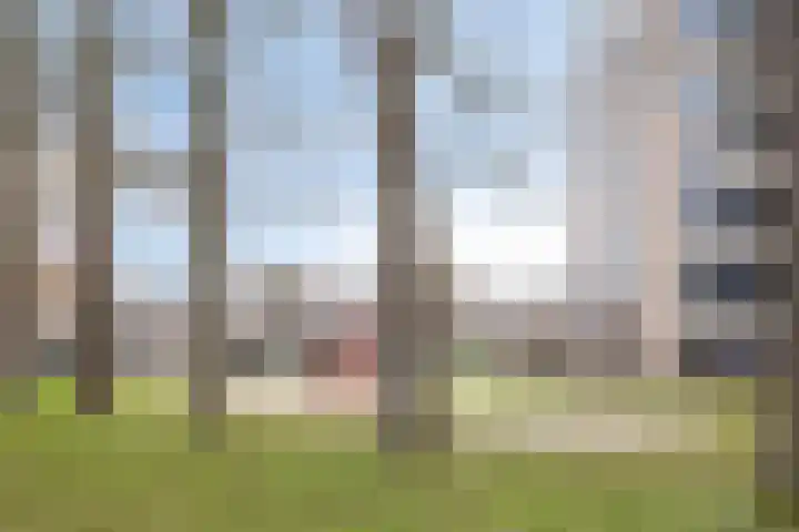 Van Rielstraat 12 Zwolle thumbnail 52