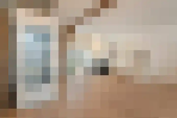 Van Rielstraat 15 Zwolle thumbnail 11