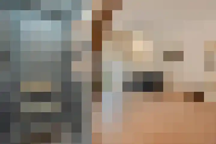 Van Rielstraat 15 Zwolle thumbnail 12