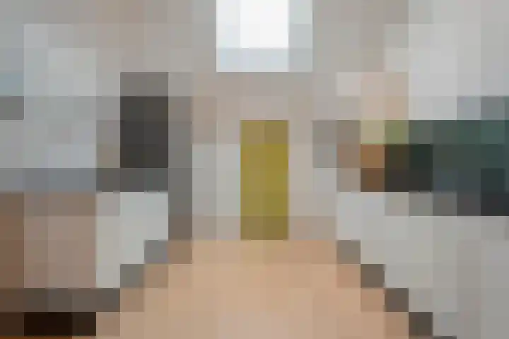 Van Rielstraat 15 Zwolle thumbnail 14