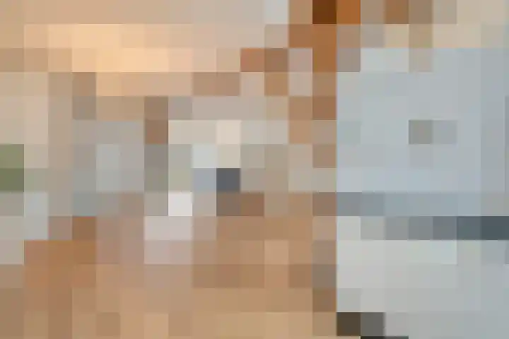 Van Rielstraat 15 Zwolle thumbnail 17