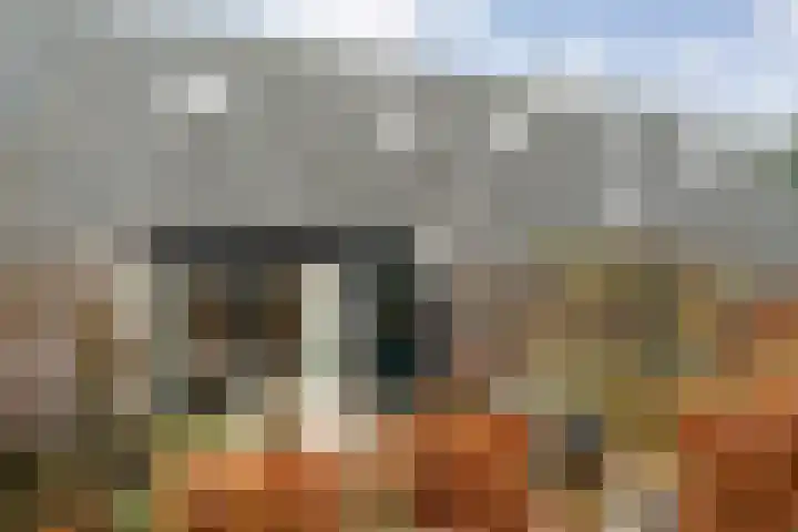 Van Rielstraat 15 Zwolle thumbnail 20