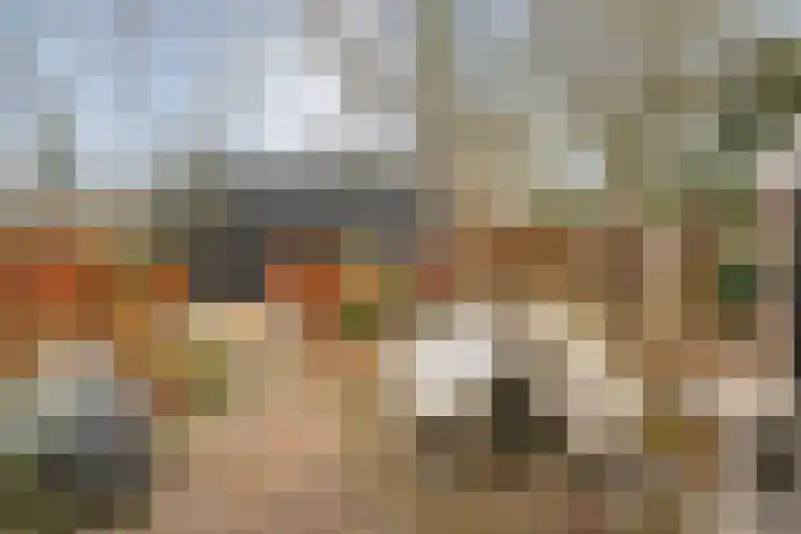 Van Rielstraat 15 Zwolle thumbnail 21