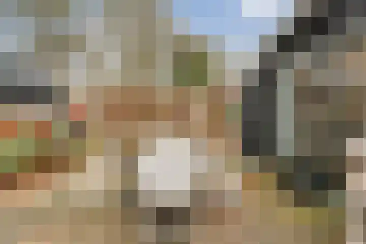 Van Rielstraat 15 Zwolle thumbnail 22