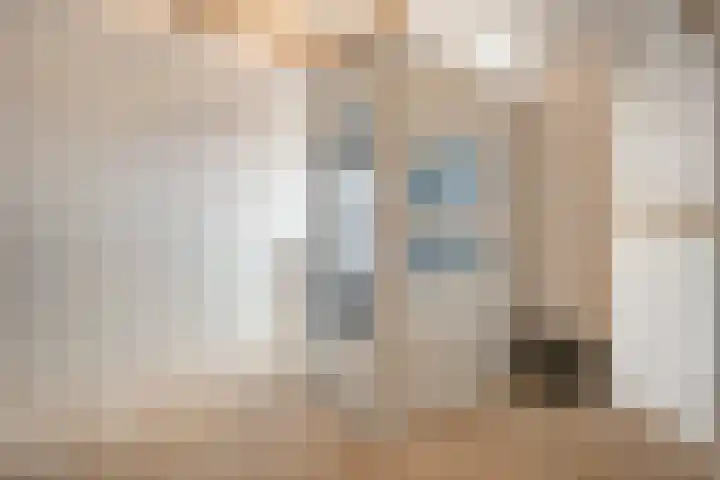 Van Rielstraat 15 Zwolle thumbnail 28