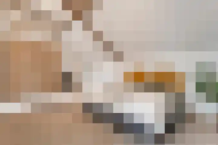 Van Rielstraat 15 Zwolle thumbnail 31