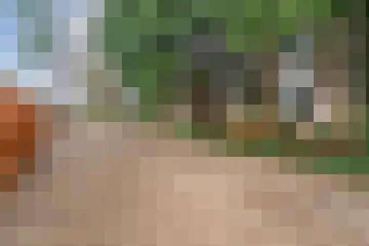 Van Rielstraat 15 Zwolle thumbnail 37