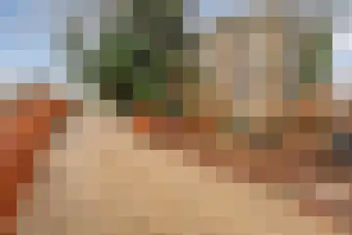 Van Rielstraat 15 Zwolle thumbnail 38