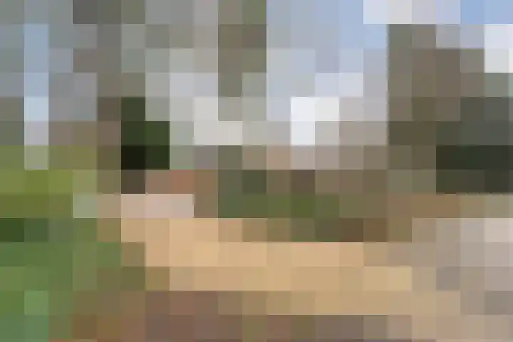 Van Rielstraat 15 Zwolle thumbnail 39
