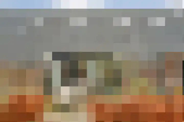 Van Rielstraat 15 Zwolle thumbnail 4