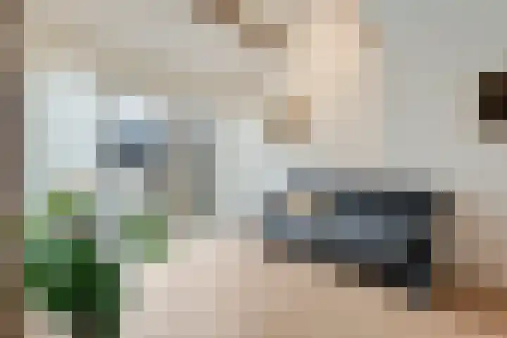 Van Rielstraat 15 Zwolle thumbnail 6