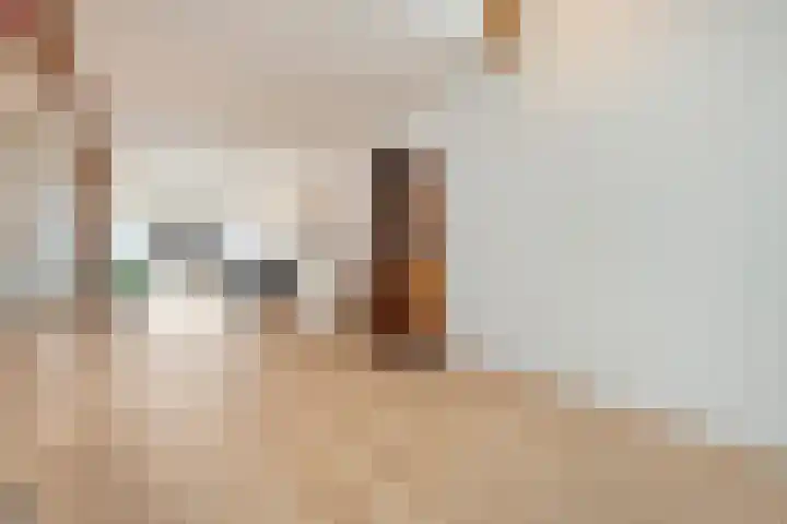 Van Rielstraat 15 Zwolle thumbnail 7