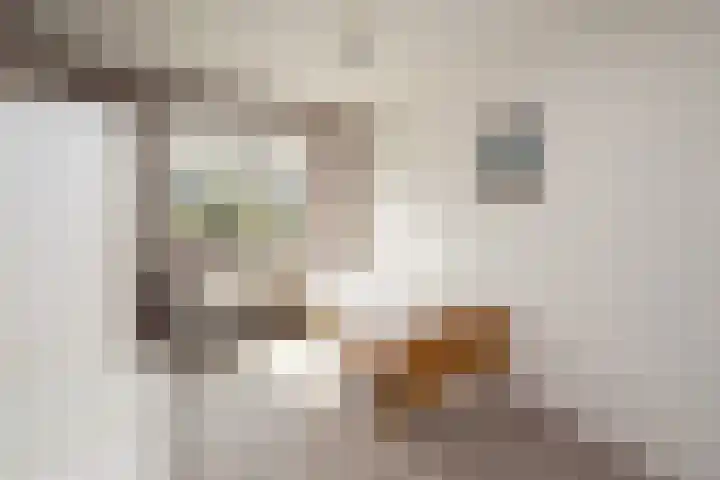 Van Rielstraat 16 Zwolle thumbnail 18