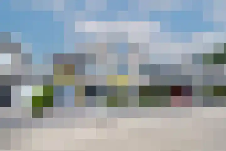 Van Rielstraat 16 Zwolle thumbnail 43