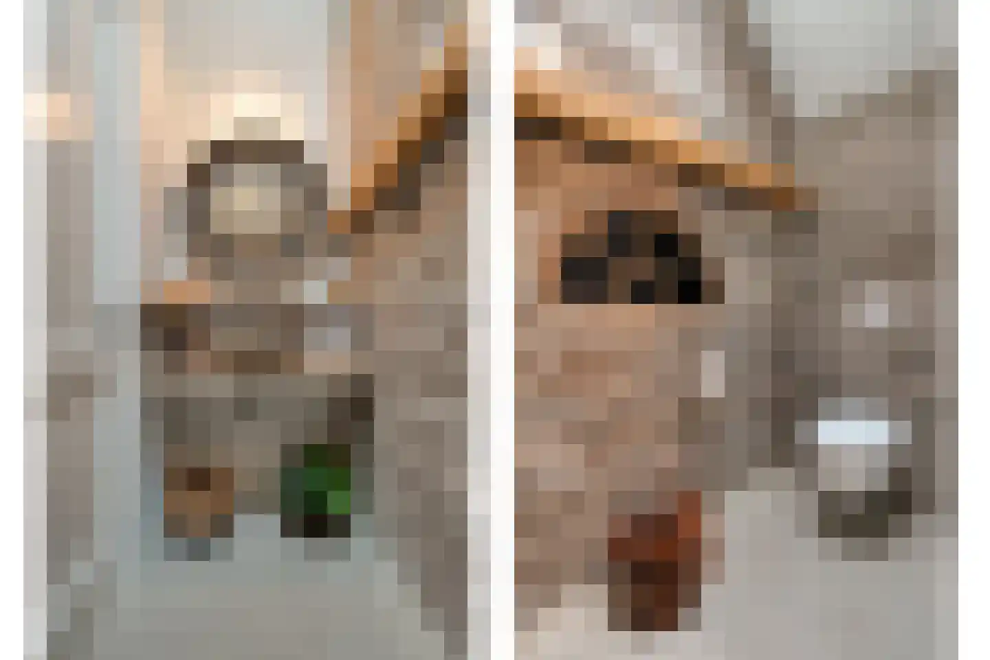 Van Rielstraat 17 Zwolle thumbnail 10