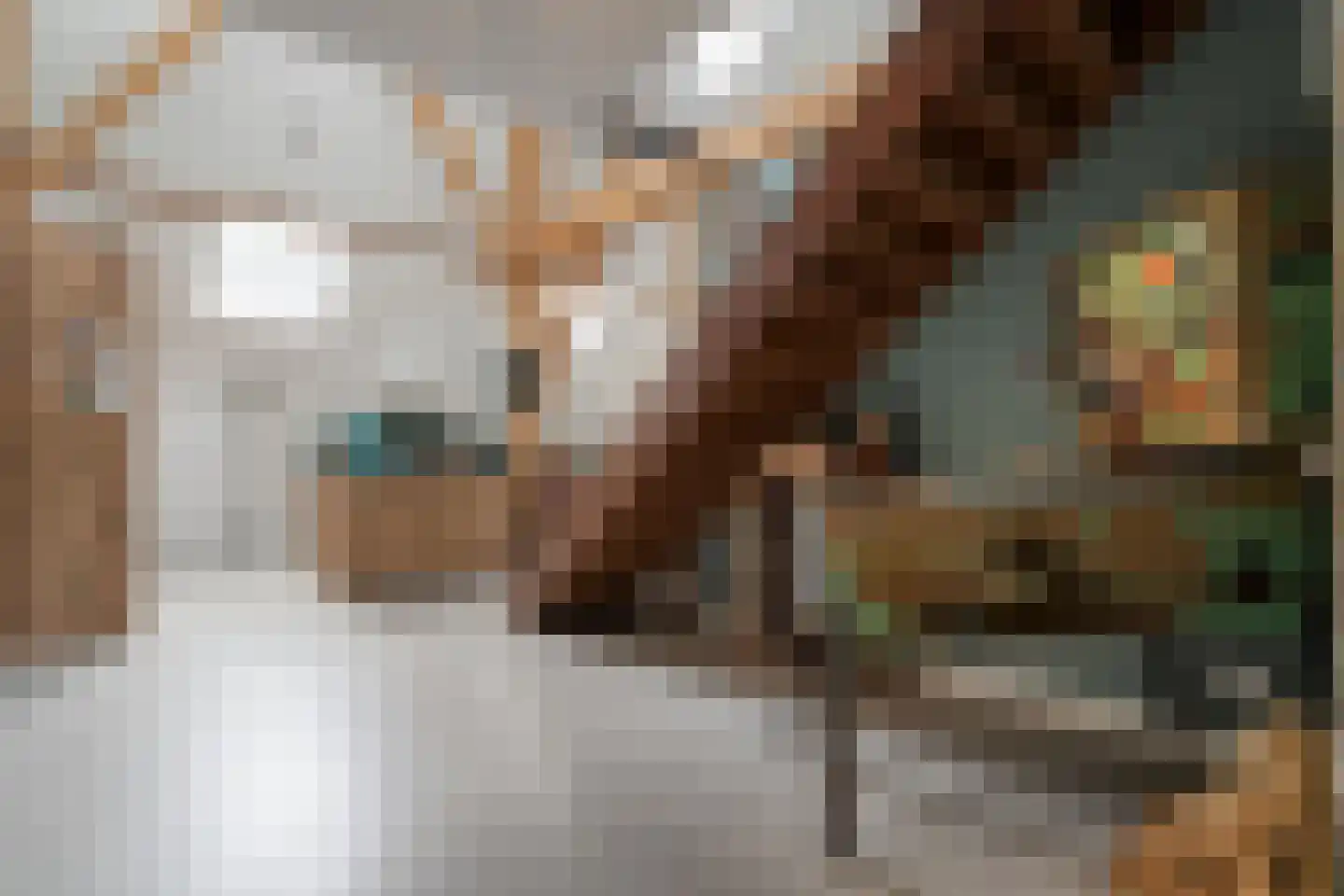 Van Rielstraat 17 Zwolle thumbnail 13