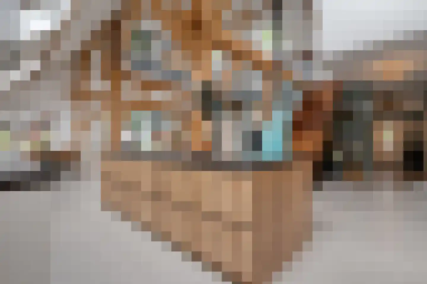 Van Rielstraat 17 Zwolle thumbnail 16