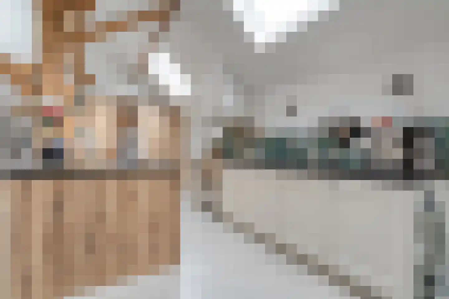 Van Rielstraat 17 Zwolle thumbnail 17