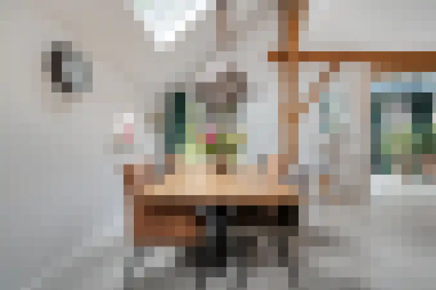 Van Rielstraat 17 Zwolle thumbnail 18