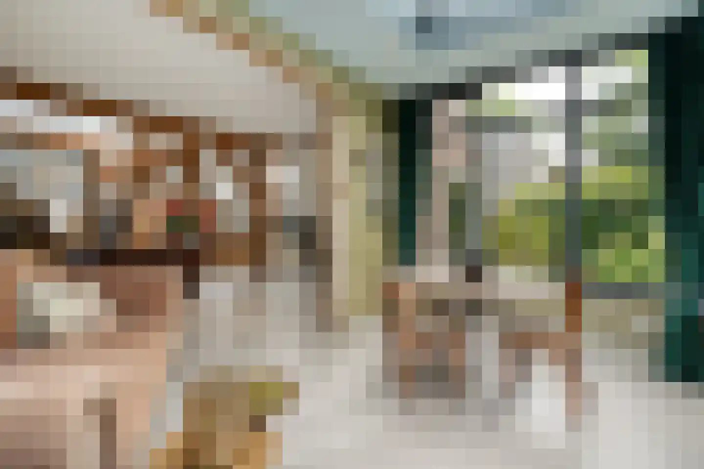 Van Rielstraat 17 Zwolle thumbnail 20
