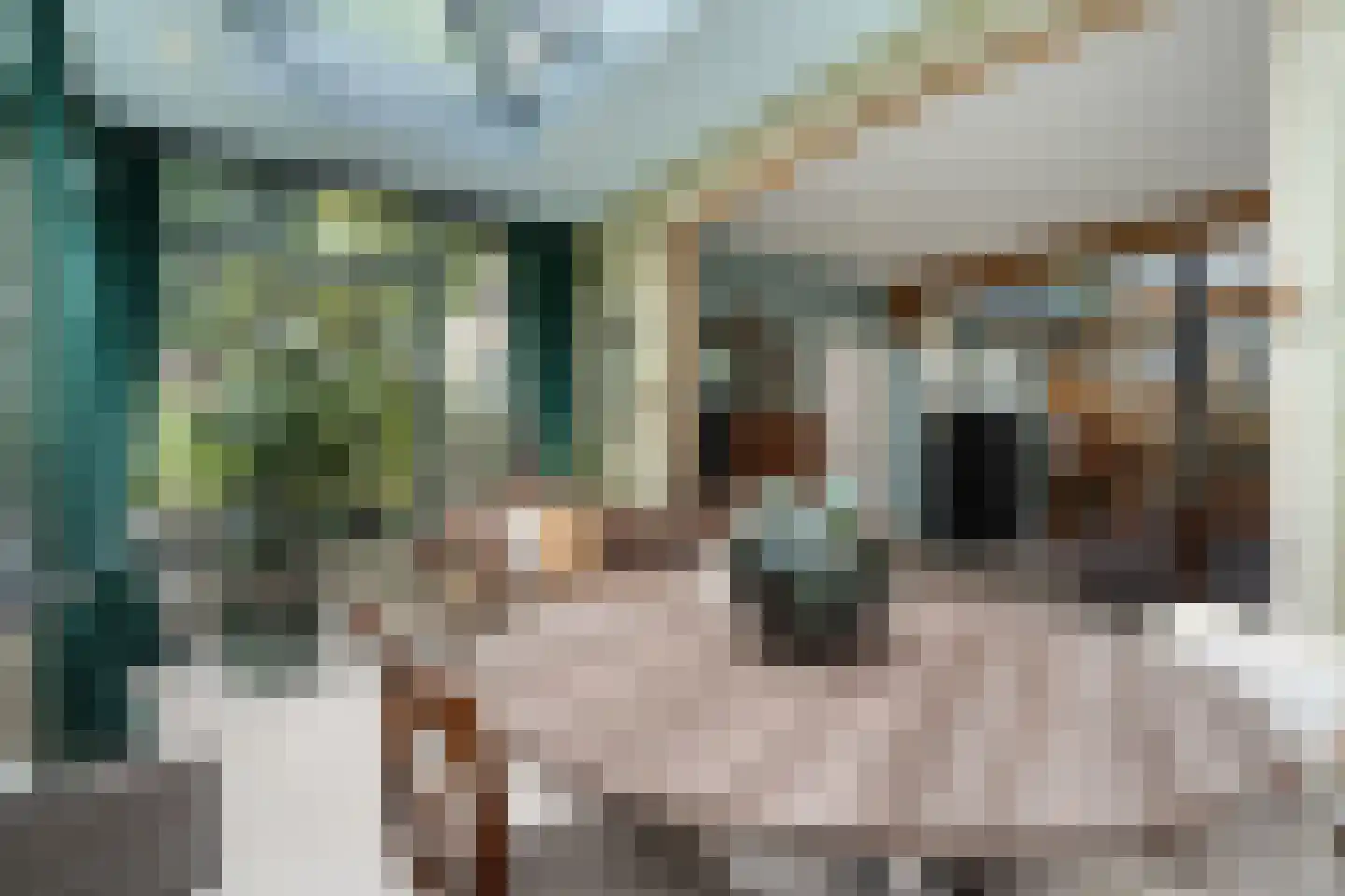 Van Rielstraat 17 Zwolle thumbnail 22