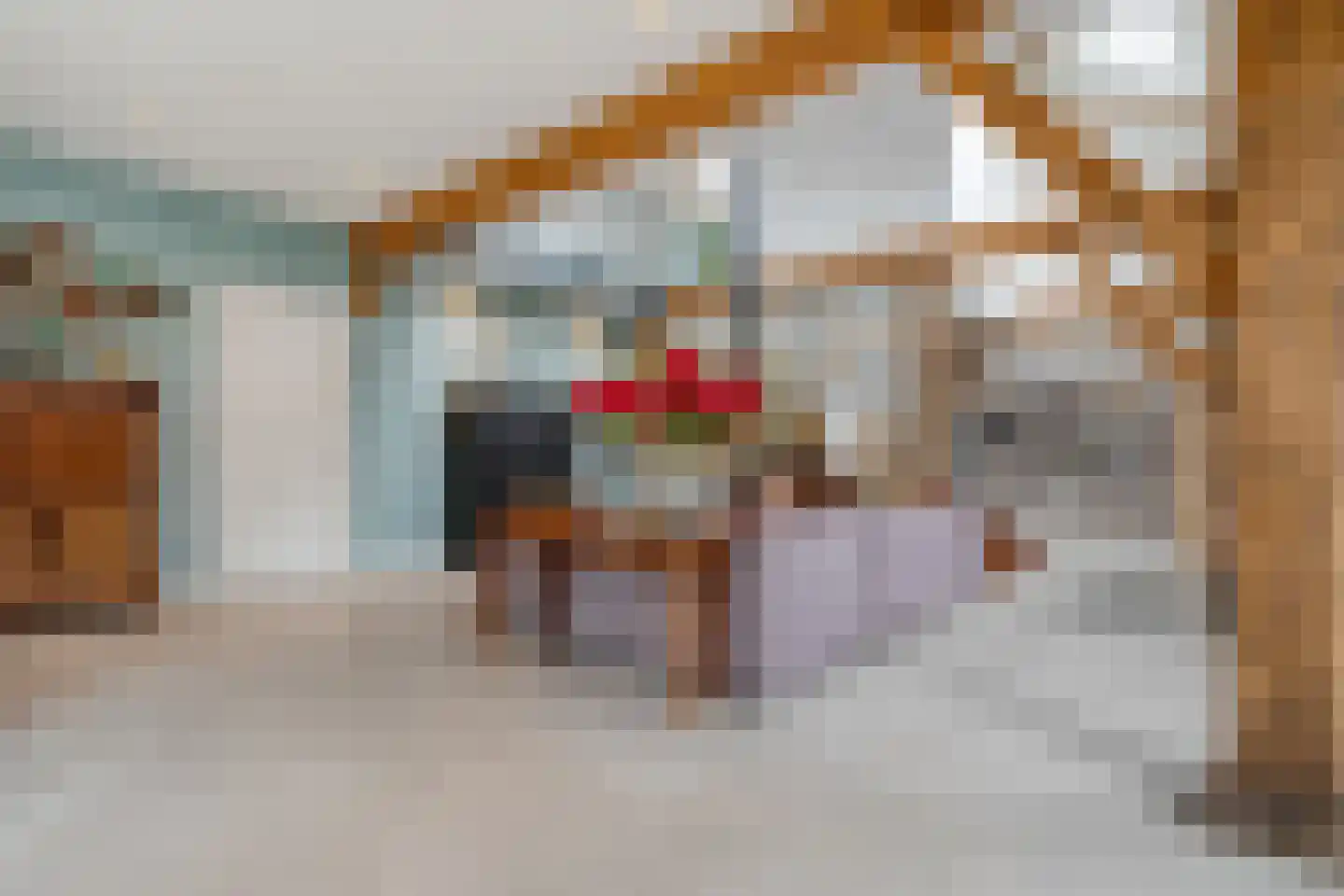 Van Rielstraat 17 Zwolle thumbnail 25
