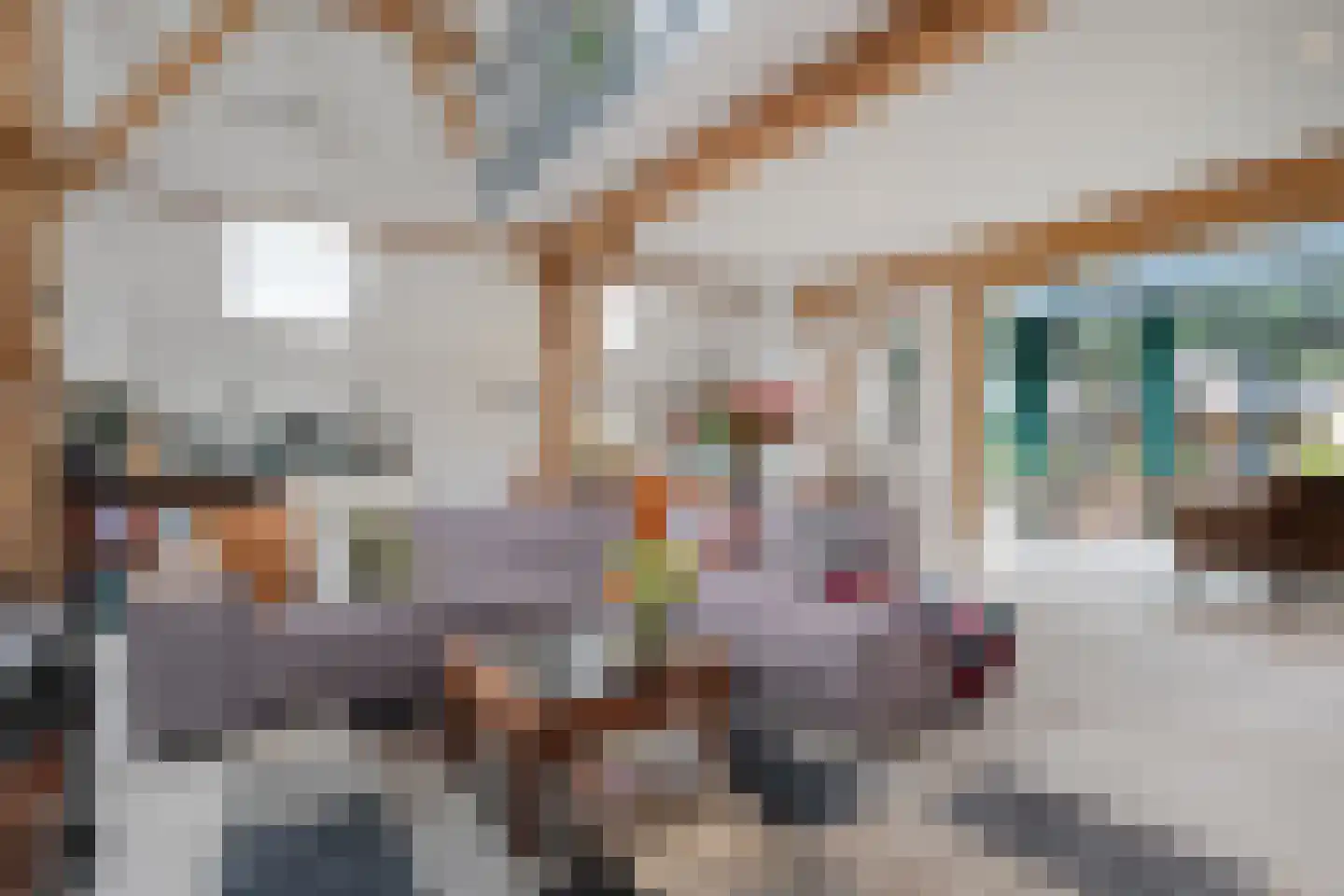 Van Rielstraat 17 Zwolle thumbnail 28