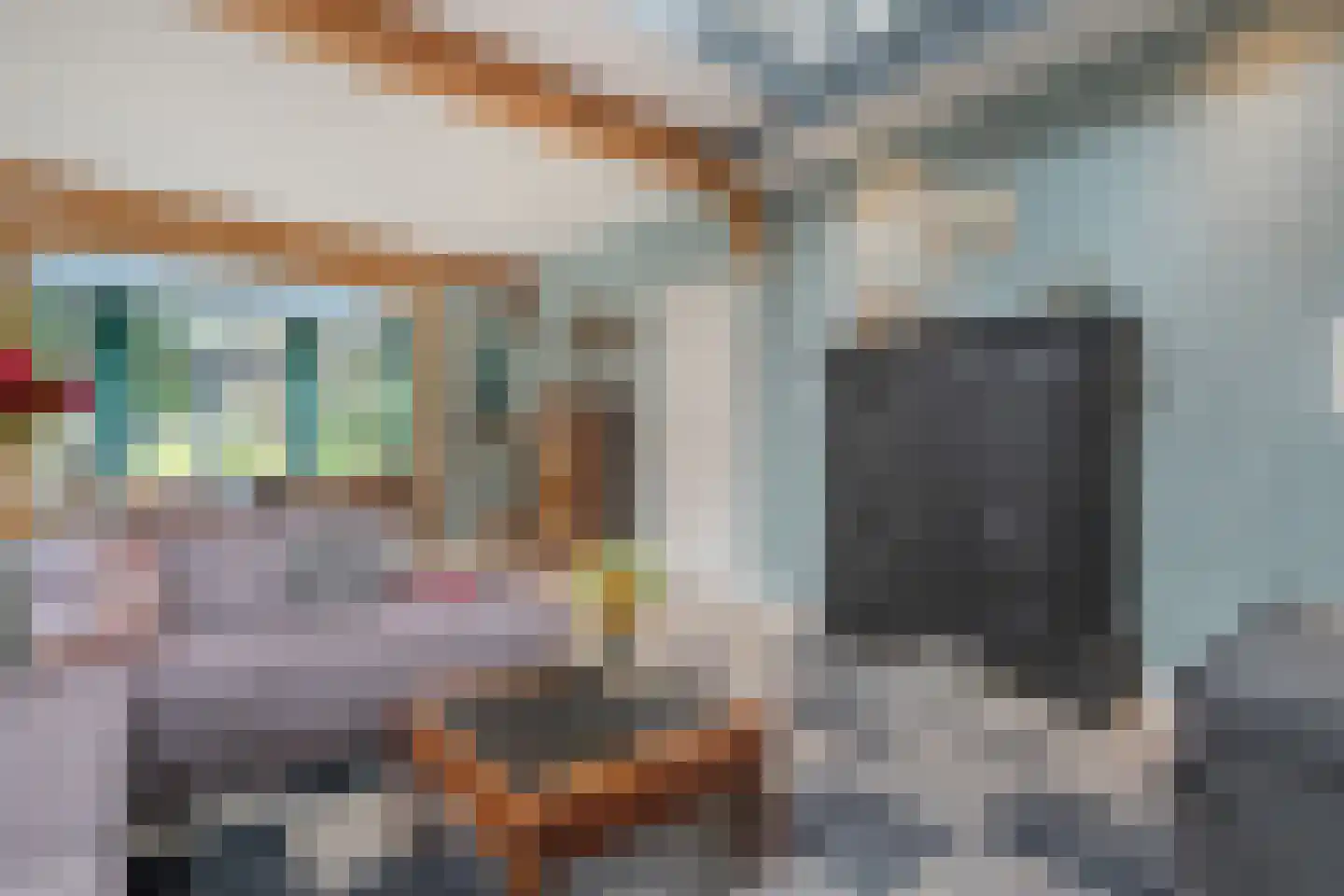 Van Rielstraat 17 Zwolle thumbnail 29