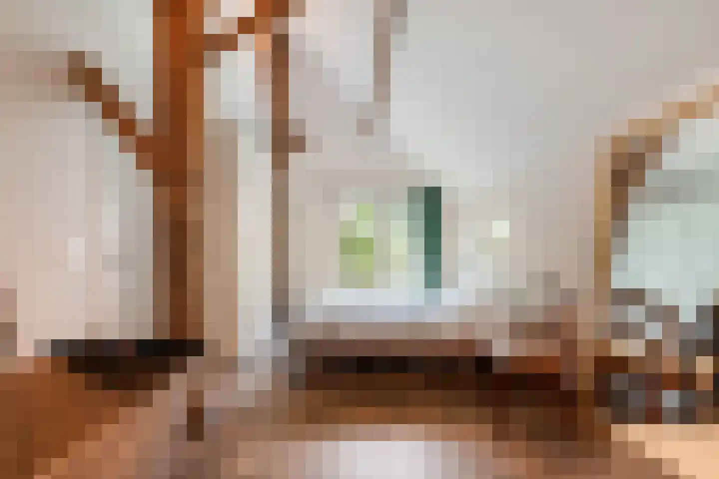 Van Rielstraat 17 Zwolle thumbnail 32