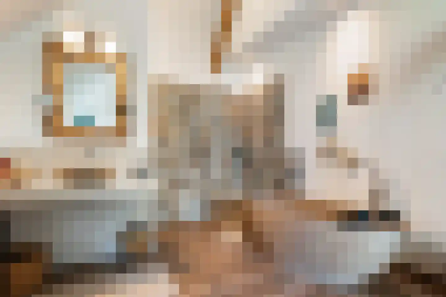 Van Rielstraat 17 Zwolle thumbnail 33