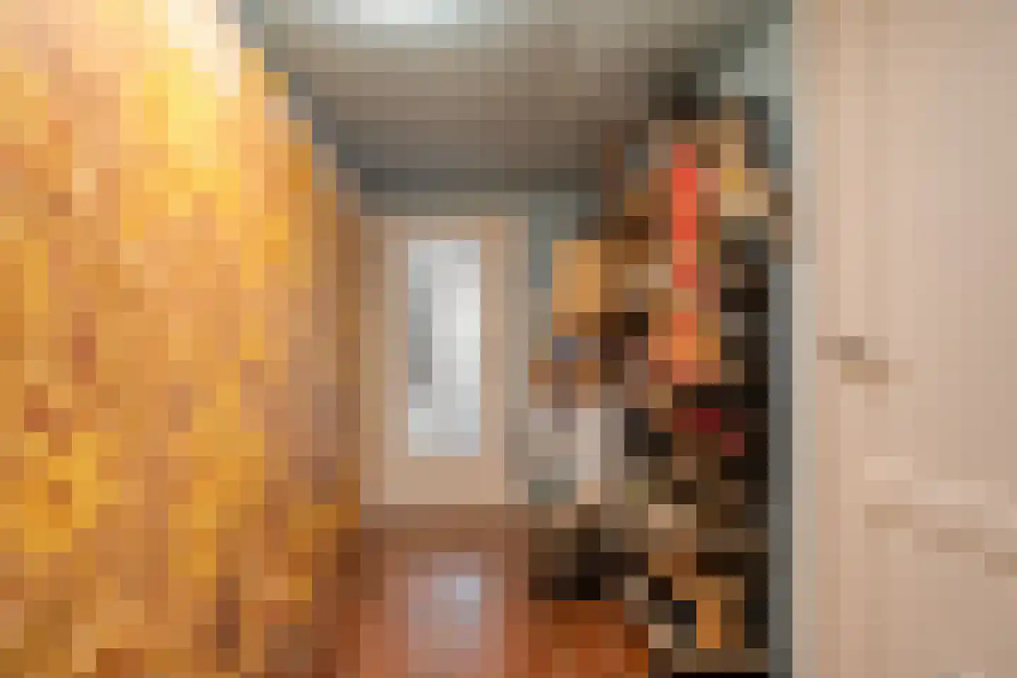 Van Rielstraat 17 Zwolle thumbnail 37