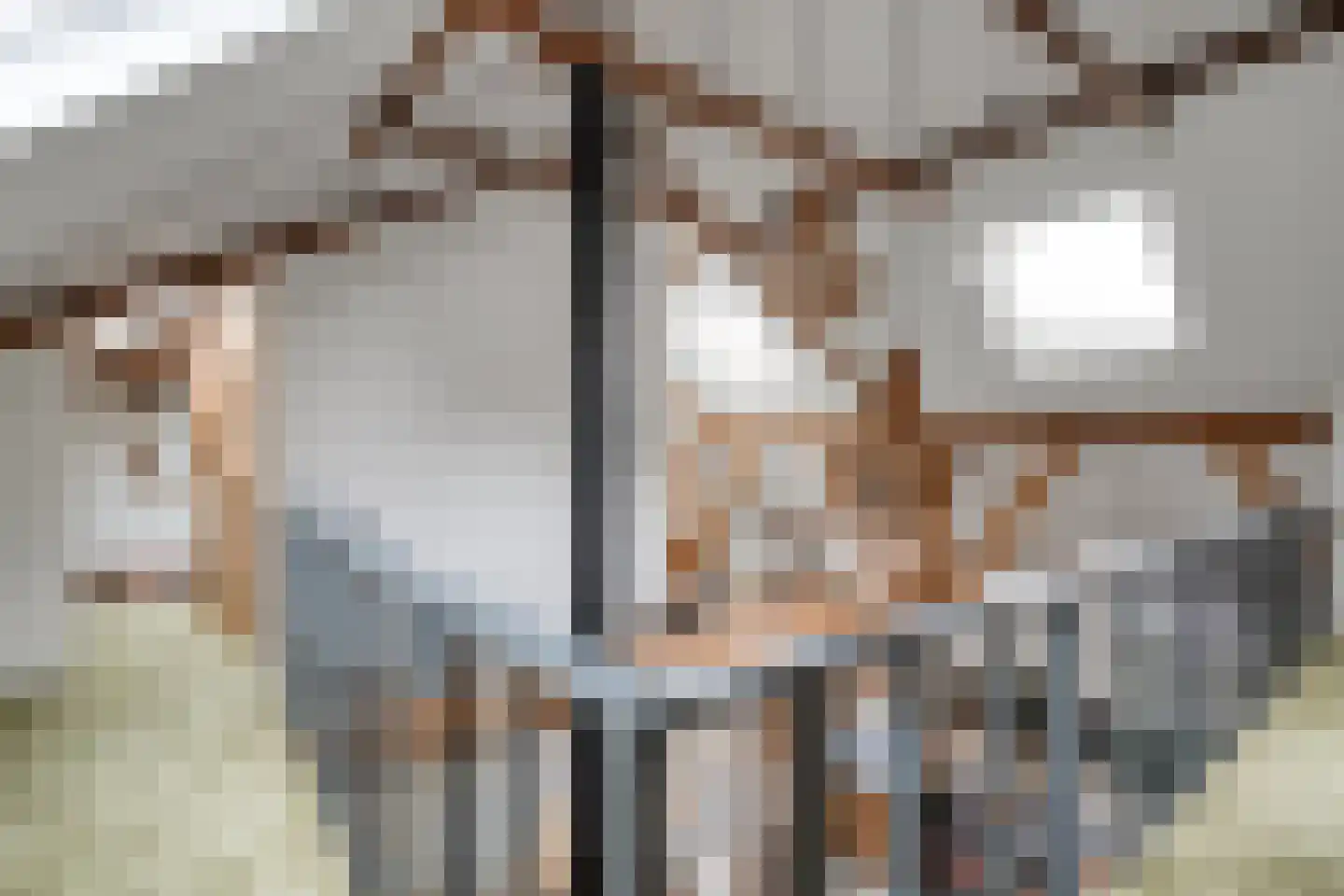 Van Rielstraat 17 Zwolle thumbnail 40