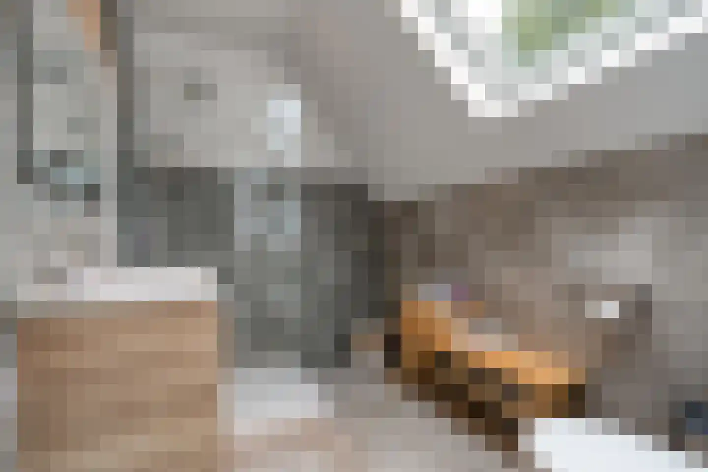 Van Rielstraat 17 Zwolle thumbnail 47