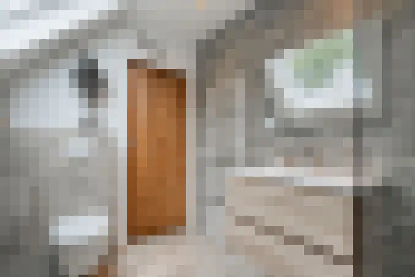 Van Rielstraat 17 Zwolle thumbnail 48
