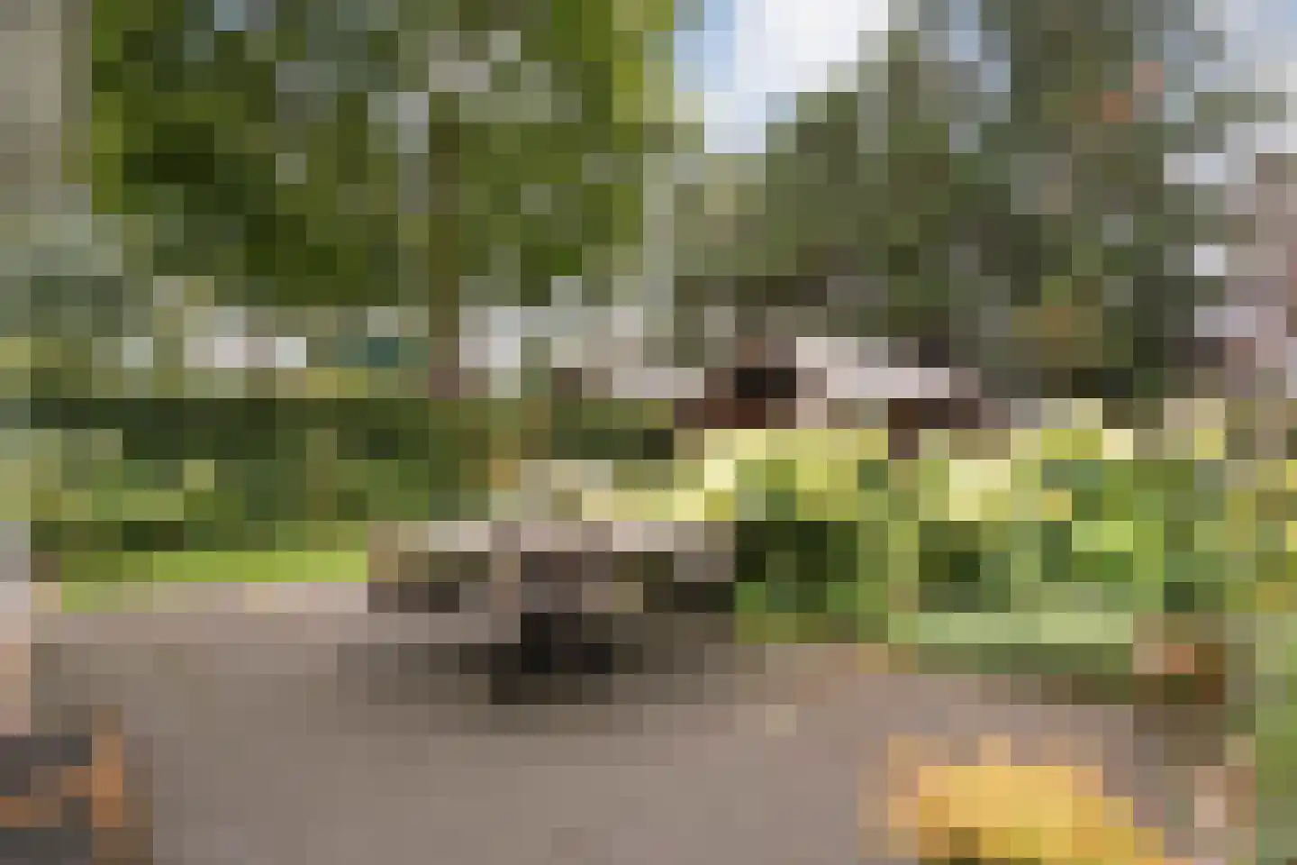 Van Rielstraat 17 Zwolle thumbnail 55