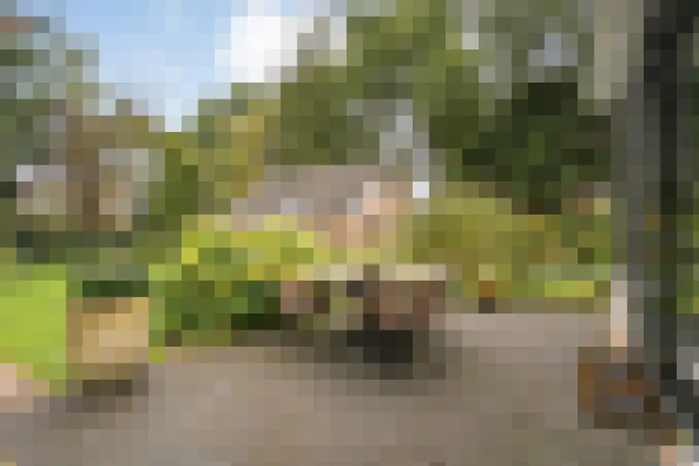 Van Rielstraat 17 Zwolle thumbnail 56