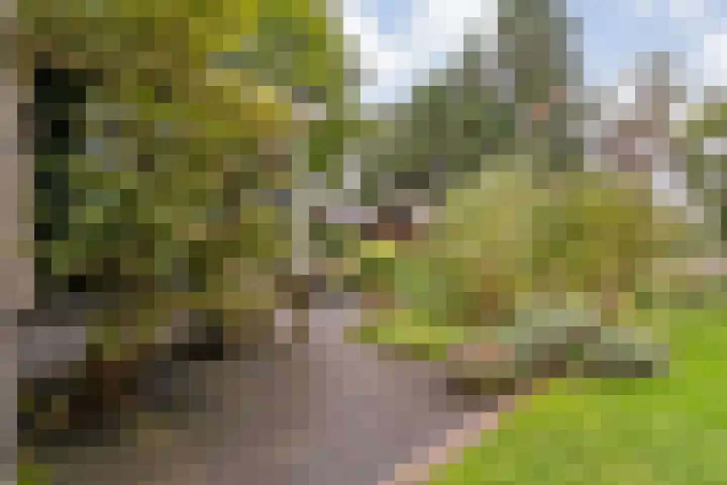 Van Rielstraat 17 Zwolle thumbnail 59