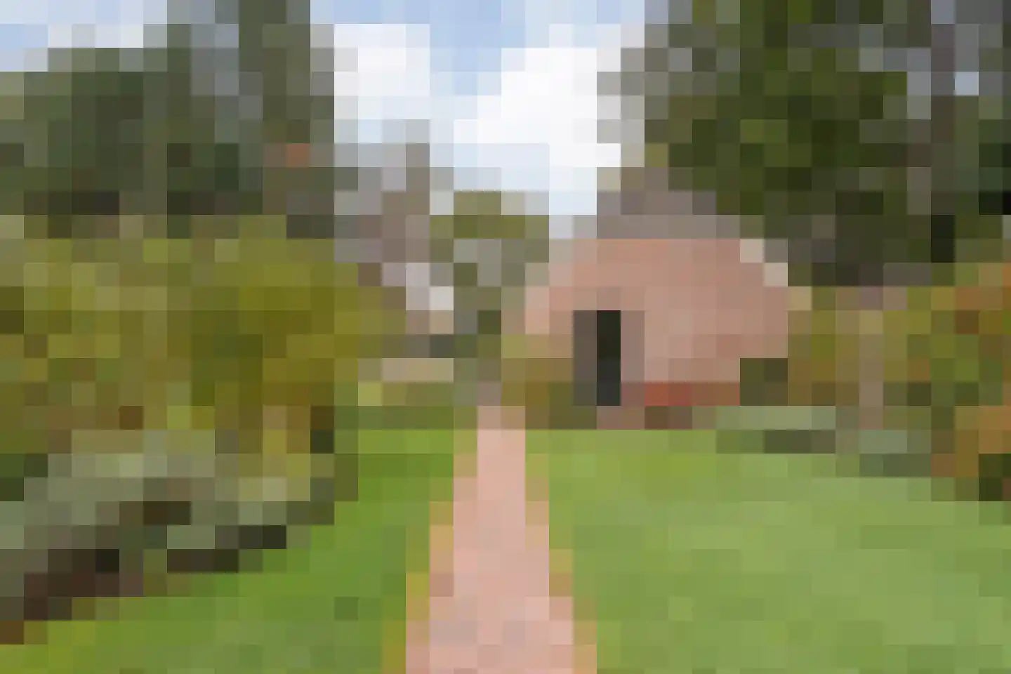 Van Rielstraat 17 Zwolle thumbnail 60
