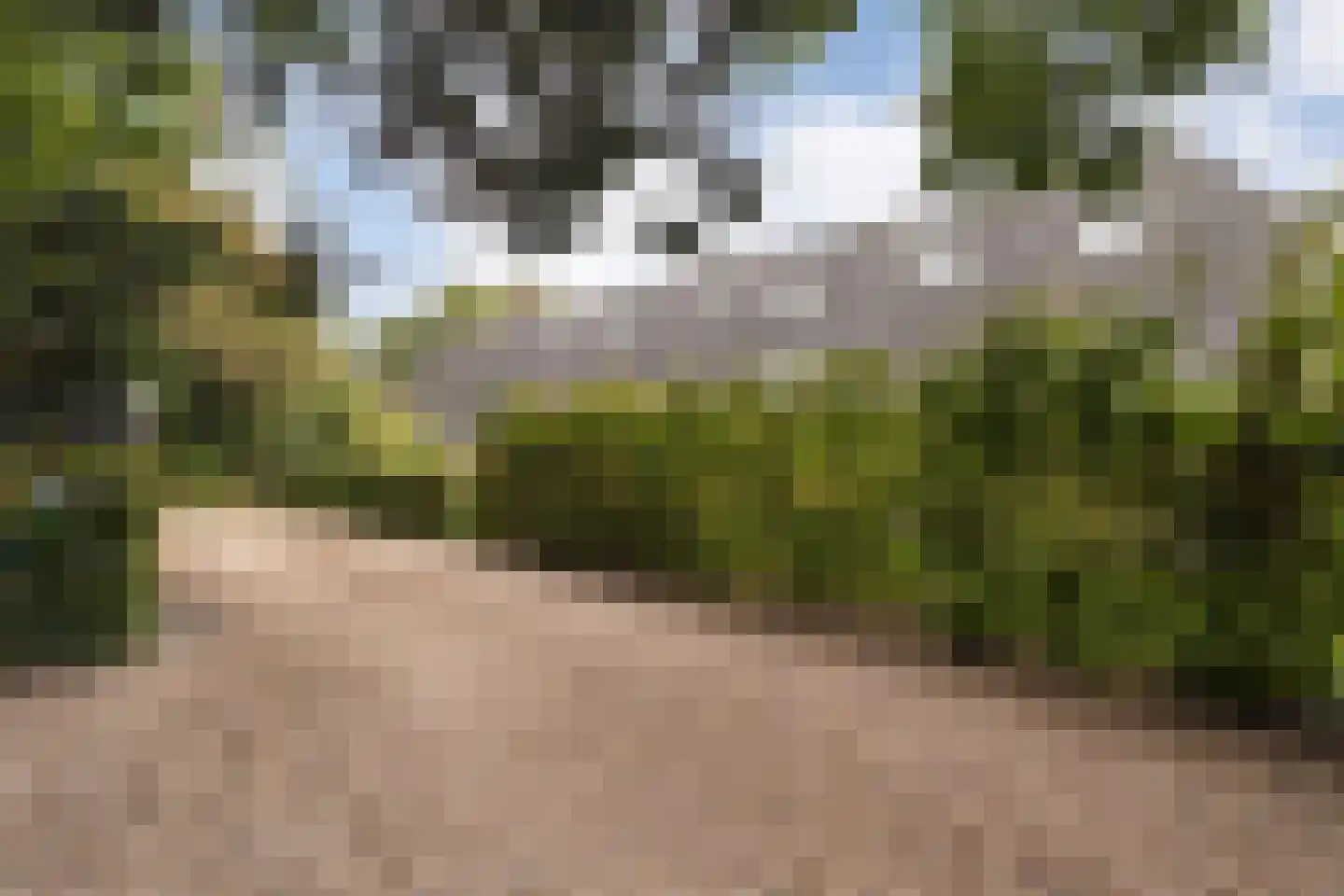 Van Rielstraat 17 Zwolle thumbnail 64